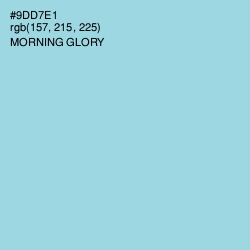 #9DD7E1 - Morning Glory Color Image