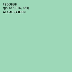 #9DD8B8 - Algae Green Color Image