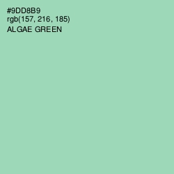 #9DD8B9 - Algae Green Color Image