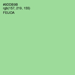 #9DDB9B - Feijoa Color Image