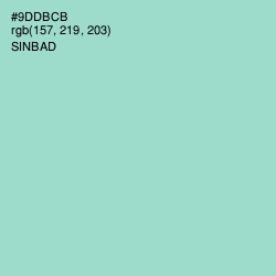 #9DDBCB - Sinbad Color Image