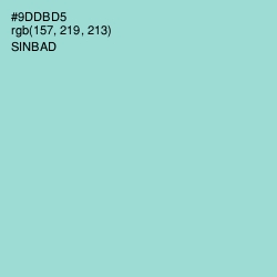 #9DDBD5 - Sinbad Color Image