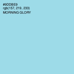 #9DDBE9 - Morning Glory Color Image