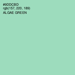 #9DDCBD - Algae Green Color Image