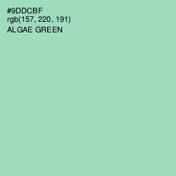 #9DDCBF - Algae Green Color Image