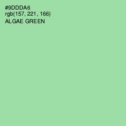 #9DDDA6 - Algae Green Color Image