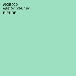 #9DE0C0 - Riptide Color Image