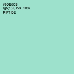 #9DE0CB - Riptide Color Image