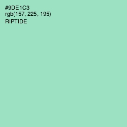 #9DE1C3 - Riptide Color Image