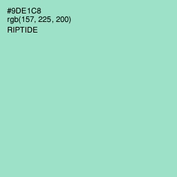 #9DE1C8 - Riptide Color Image