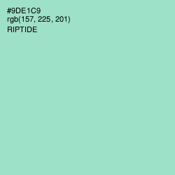 #9DE1C9 - Riptide Color Image