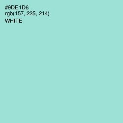 #9DE1D6 - Riptide Color Image