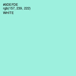 #9DEFDE - Riptide Color Image