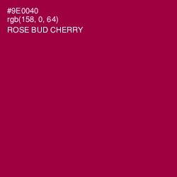 #9E0040 - Rose Bud Cherry Color Image
