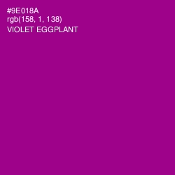 #9E018A - Violet Eggplant Color Image