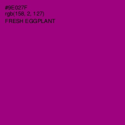 #9E027F - Fresh Eggplant Color Image