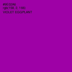 #9E02A6 - Violet Eggplant Color Image