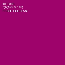 #9E036B - Fresh Eggplant Color Image