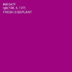 #9E047F - Fresh Eggplant Color Image