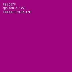 #9E057F - Fresh Eggplant Color Image