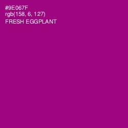 #9E067F - Fresh Eggplant Color Image