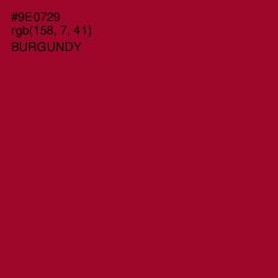 #9E0729 - Burgundy Color Image