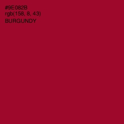 #9E082B - Burgundy Color Image