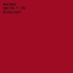 #9E0B23 - Burgundy Color Image