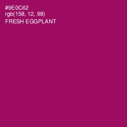 #9E0C62 - Fresh Eggplant Color Image