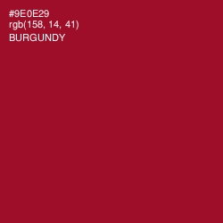 #9E0E29 - Burgundy Color Image