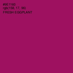 #9E1160 - Fresh Eggplant Color Image