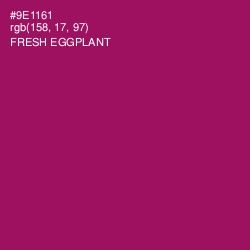 #9E1161 - Fresh Eggplant Color Image