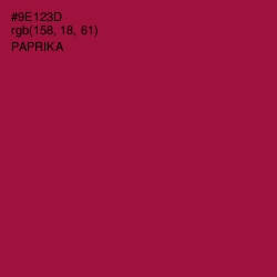 #9E123D - Paprika Color Image