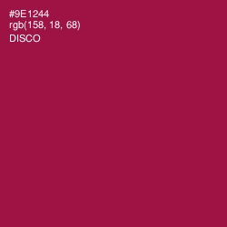 #9E1244 - Disco Color Image