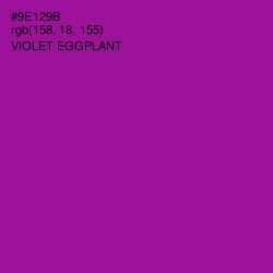 #9E129B - Violet Eggplant Color Image