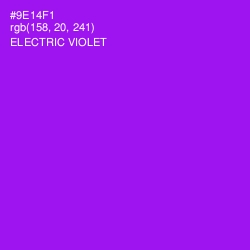 #9E14F1 - Electric Violet Color Image