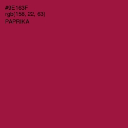 #9E163F - Paprika Color Image