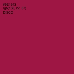 #9E1643 - Disco Color Image