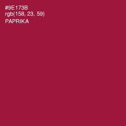 #9E173B - Paprika Color Image