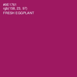 #9E1761 - Fresh Eggplant Color Image