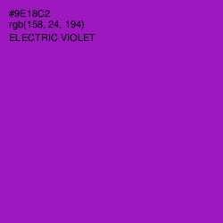 #9E18C2 - Electric Violet Color Image