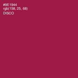 #9E1944 - Disco Color Image