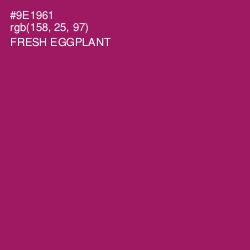 #9E1961 - Fresh Eggplant Color Image