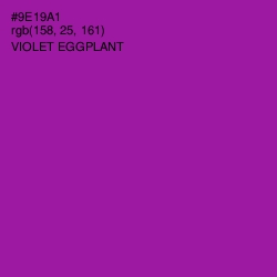 #9E19A1 - Violet Eggplant Color Image