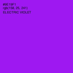 #9E19F1 - Electric Violet Color Image