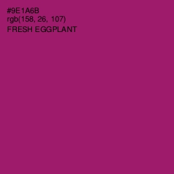 #9E1A6B - Fresh Eggplant Color Image