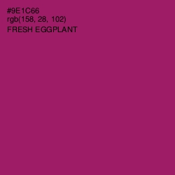 #9E1C66 - Fresh Eggplant Color Image