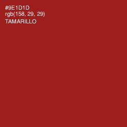 #9E1D1D - Tamarillo Color Image