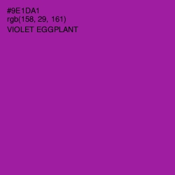 #9E1DA1 - Violet Eggplant Color Image