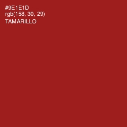 #9E1E1D - Tamarillo Color Image